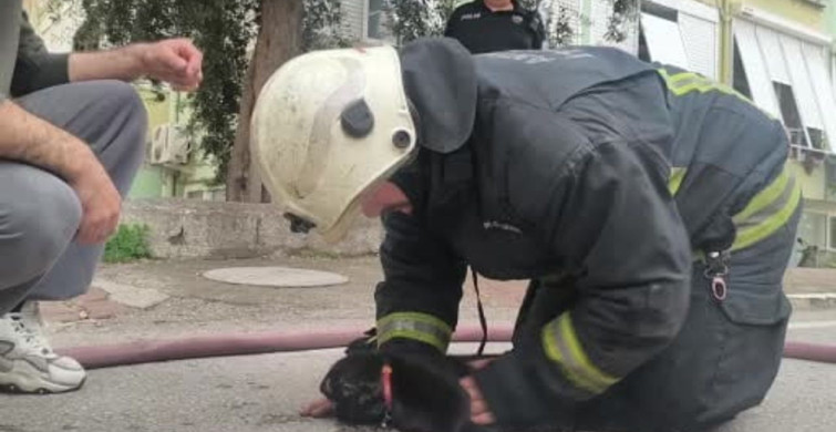 Antalya'da Yangında Kediyi Kalp Masajıyla Hayata Döndürdü