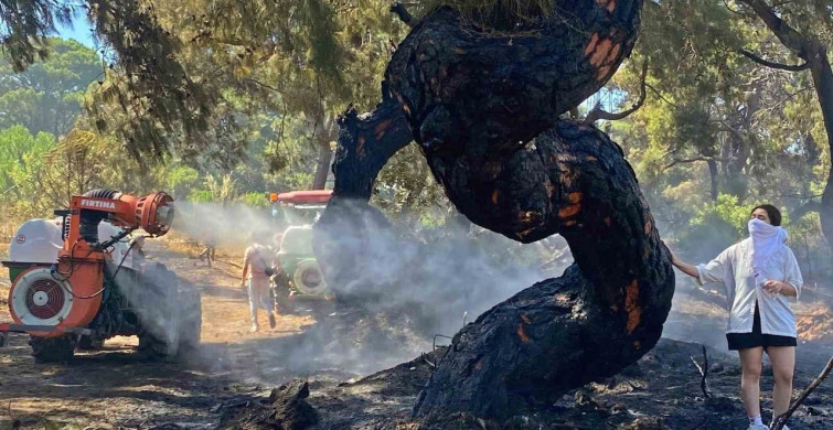 Antalya'da Yılın Fotoğrafı Ödülü İHA'ya Gitti