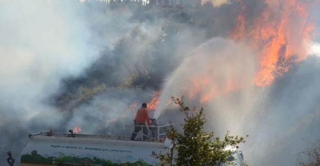 Antalya'daki Yangında 5 Dekar Alan Küle Döndü
