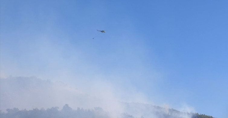 Antalya'nın Alanya İlçesindeki Orman Yangınına Hızla Müdahale Devam Ediyor