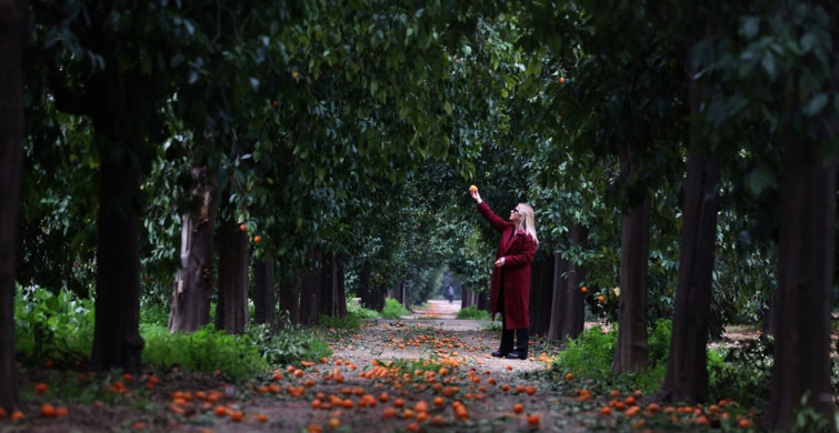Antalya'nın Görsel Şöleni: Turunç Yolu