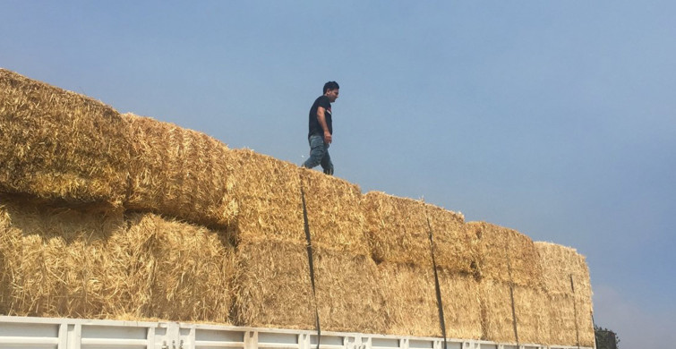 Antalya’ya Çevre İllerdeki Besiciler Yüzlerce Tır Yem ile Yardım Etti