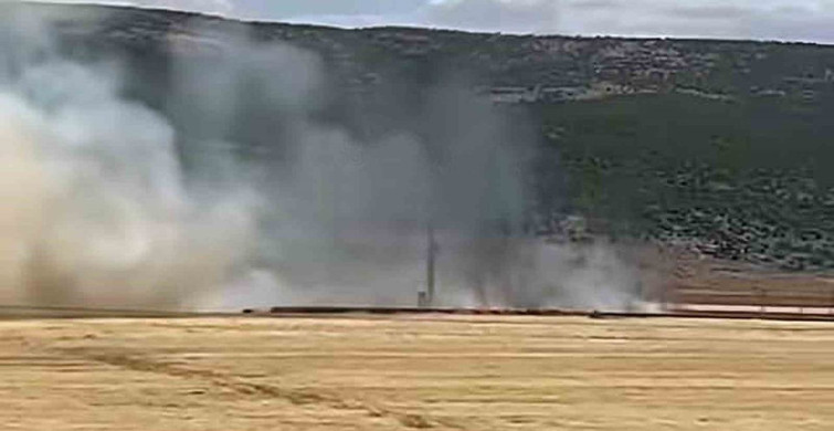 Araban Ovası'nda hasada hazır 93 dönüm buğday kül oldu