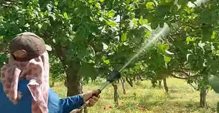 Araban'da Antepfıstığı Üreticileri Hastalıklara Karşı Mücadele Başlattı
