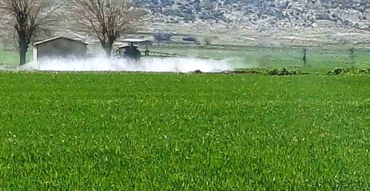 Araban'da Sarı Pas Hastalığına Karşı İlaçlı Mücadele Başlatıldı