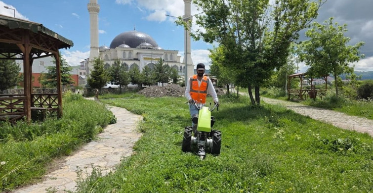Ardahan belediyesi ekiplerinden yaz temizliği