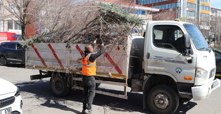 Ardahan Belediyesi'nden Ağaç Budama Çalışmaları