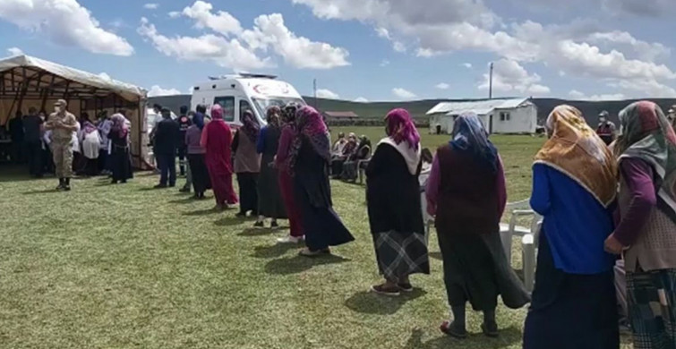Ardahan Yaylasında Aşı Kuyruğu