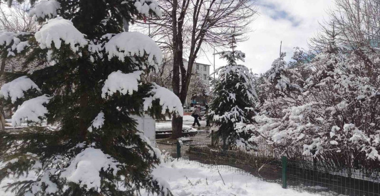 Ardahan'da Kartpostallık Kar Manzaraları