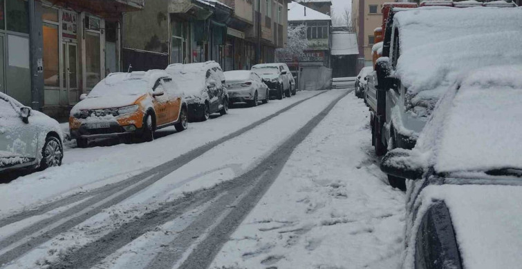 Ardahan'da Nisan Karı Baharı Unutturdu
