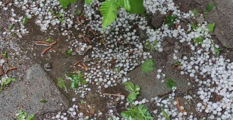 Ardahan'da sağanak ve dolu yağışı tarım arazilerine zarar verdi