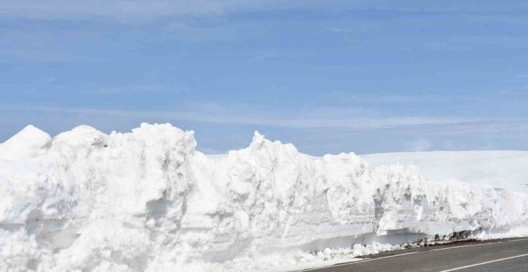 Ardahan'daki Arıcılar, Zorlu Kış Şartlarına Karşı Yolu Açma Çağrısı Yapıyor