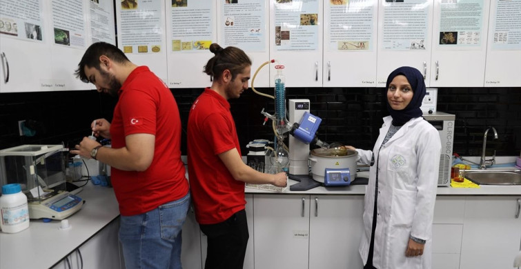 ARGENTEX: Yarayı Hızla İyileştiren Yeni Nesil Antimikrobiyal Bant