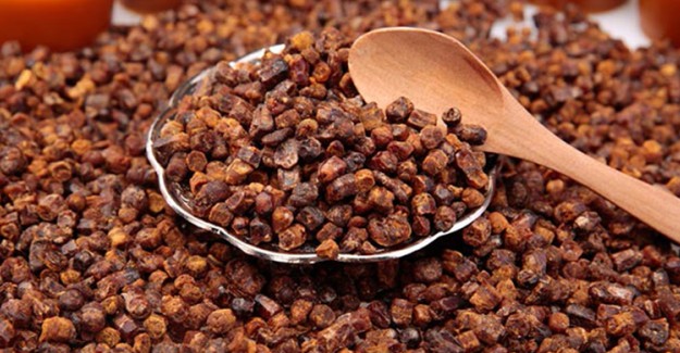 Arı Ekmeği Nedir? Nasıl Tüketilir?