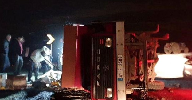 Arı Yüklü Kamyonet Kaza Yaptı, Arılar 12 Kişiyi Yaraladı