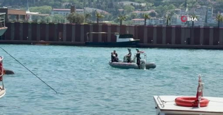 Arnavutköy Sahili'nde Midye Salyangozu Toplama Faciası
