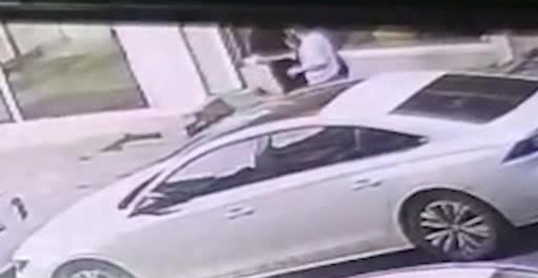 Arnavutköy'de Köpek Tartışması Kavgaya Dönüştü