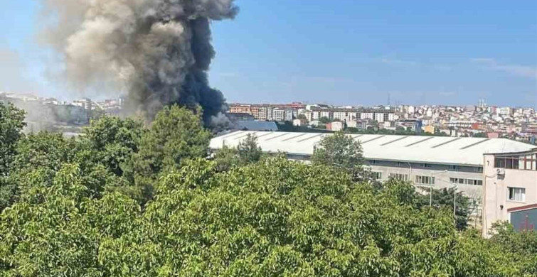 Arnavutköy’de sünger fabrikasında yangın
