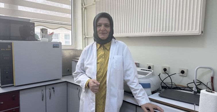 Aronya Meyvesi: Doku Hasarına Karşı Doğal Kalkan