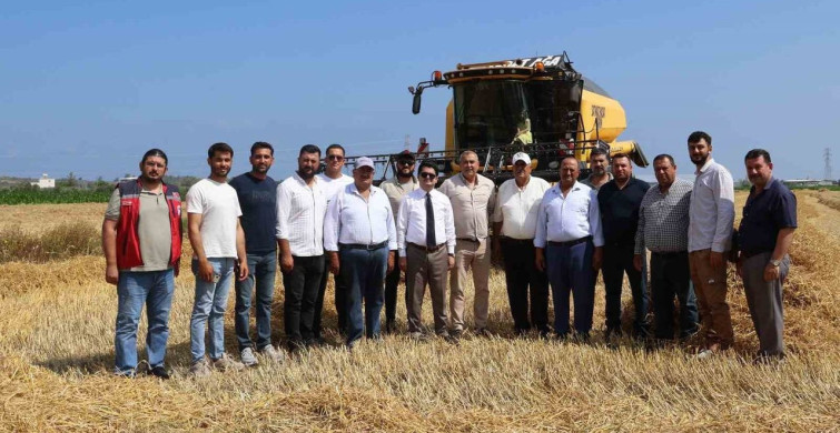 Arsuz'da buğday hasadı devam ediyor