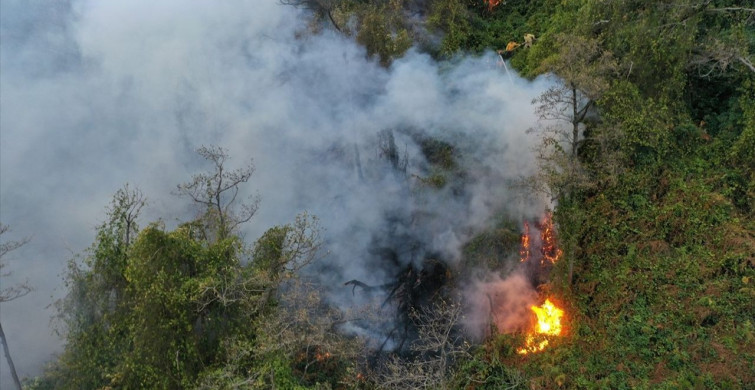 Artvin Hopa'da Yangın Mücadelesi Devam Ediyor