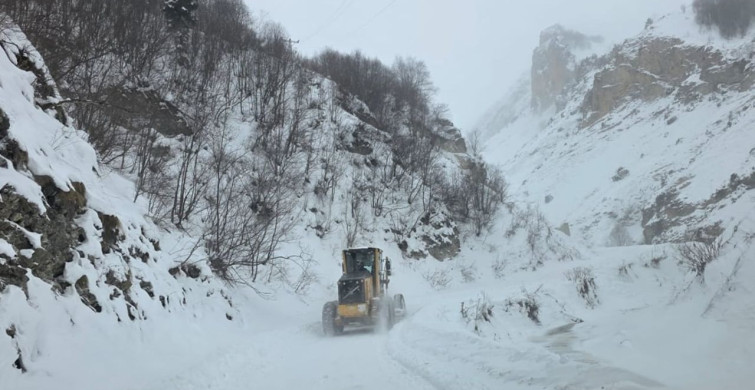 Artvin'de Çığ Felaketi: Ekipler Çalışmalarını Sürdürüyor