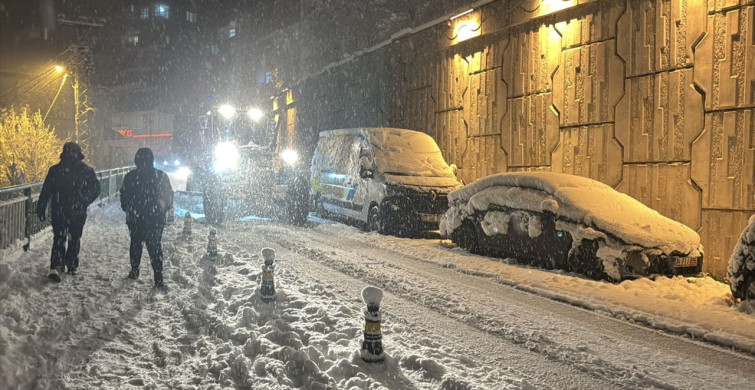 Artvin'de Etkili Kar Yağışı