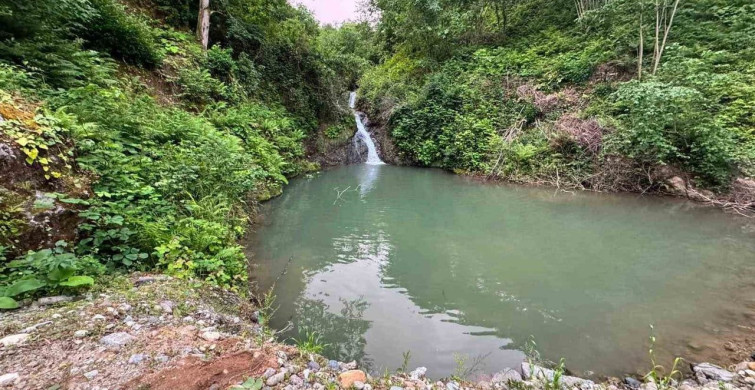 Artvin'de imam ve müezzin gölette boğulma tehlikesi geçirdi