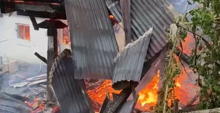 Artvin'de Kardeşlere Ait 4 Ev Yangında Zarar Gördü