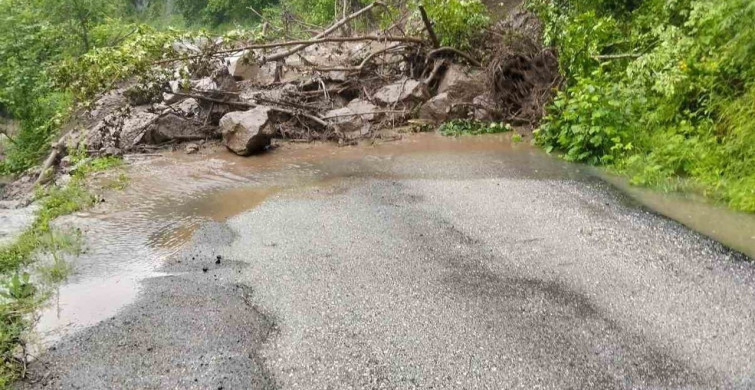 Artvin'de Şiddetli Yağışlar Taşkınlara Neden Oldu