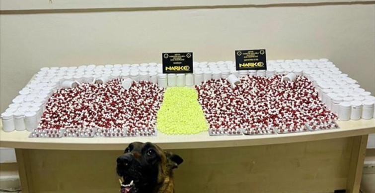 Artvin'de Uyuşturucu Operasyonu: 1 Gözaltı