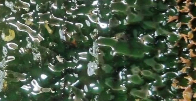 Artvin'de yeni bal sezonu öncesi arıcılarla buluşma