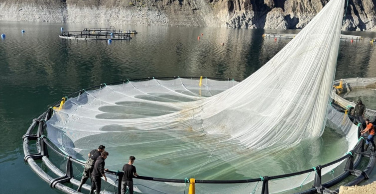 Artvin'den 67 Ülkeye Türk Somonu İhraç Ediliyor