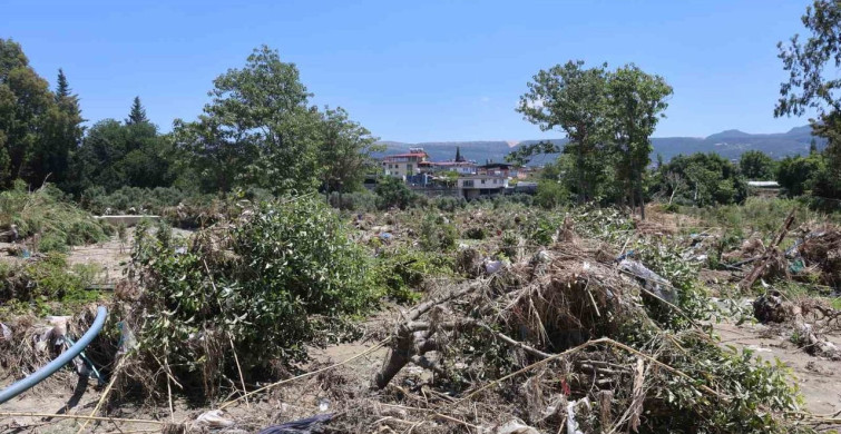 Asi Nehri Taşkını Tarım Arazilerini Vurdu
