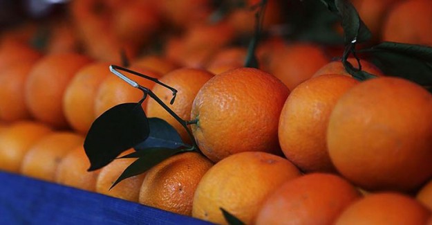 Aşırı C Vitamini Tüketimi Mesaneye Zarar Veriyor