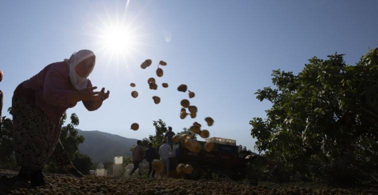 Aşırı sıcaklar alarm veriyor: 1 milyardan fazla kişinin geçimi tehdit altında
