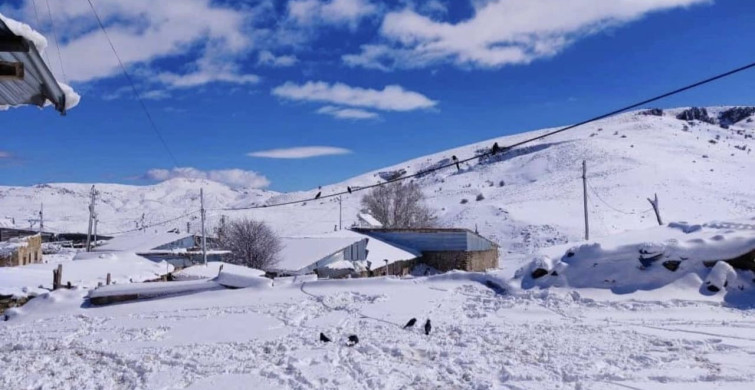 Aşkale'de Nisan Ayında Beklenmedik Kar Yağışı