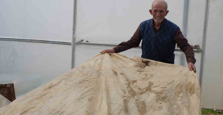 Ata Tohumları için Nöbet Tutan Üretici