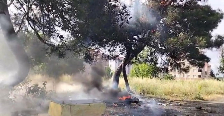 Atık yangını yarım asırlık ağacı tahrip etti