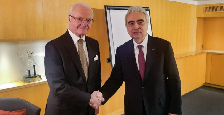 Avrupa'nın Nükleer Enerjiye Dönüşü