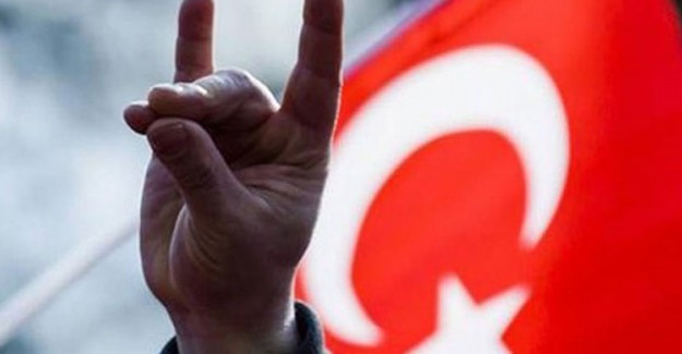 Avusturya'nın Skandal Bozkurt Kararına Dışişleri Bakanlığı'ndan Sert Tepki