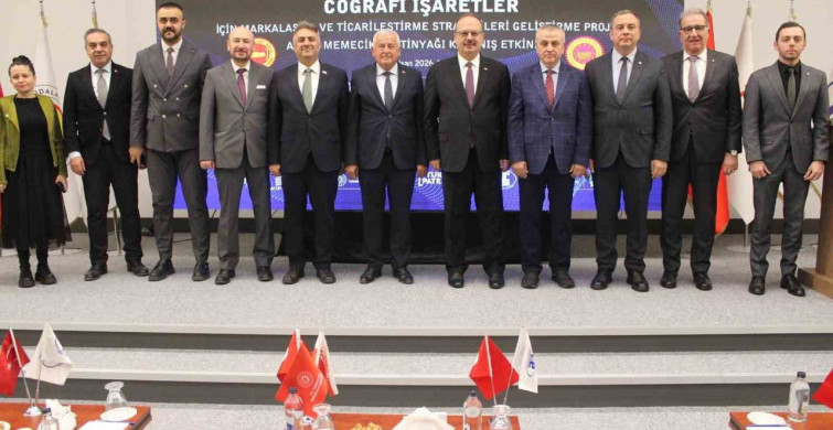 Aydın Memecik Zeytinyağı: Dünya Markası Olma Yolunda