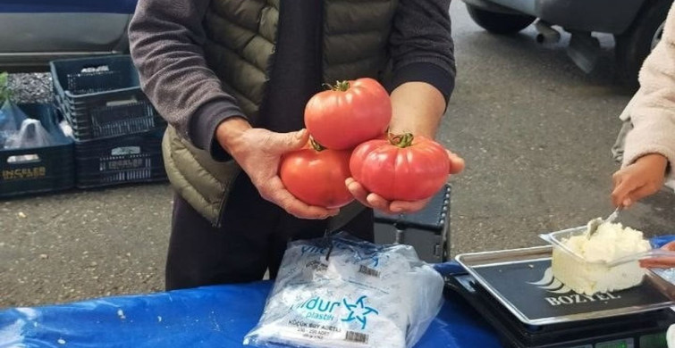 Aydın'da 850 Gramlık Domatesle Bayram Pazarı Canlandı