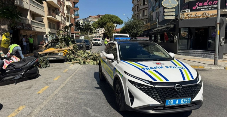 Aydın'da Ağaç Dalı Otomobile Düşerken Güvenlik Kamerası Kaydetti