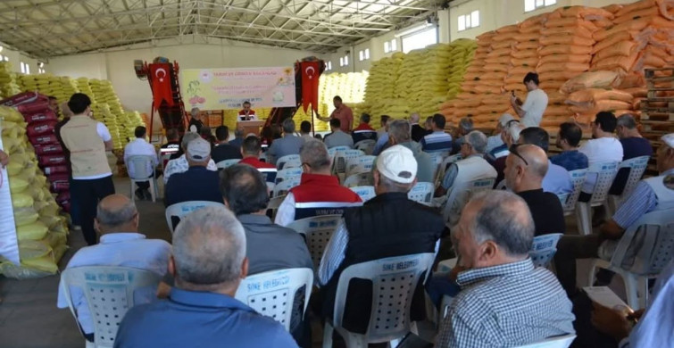 Aydın'da Ayçiçeği Tohumu Dağıtımı Gerçekleşti
