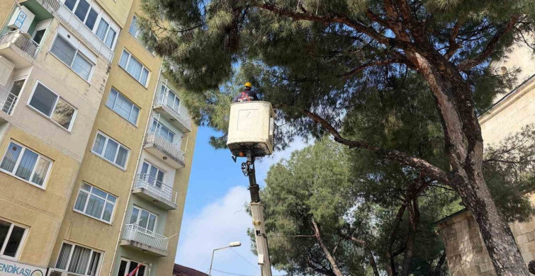 Aydın'da Estetik Değişim: Park ve Bahçeler Çalışmaları Tamamlandı