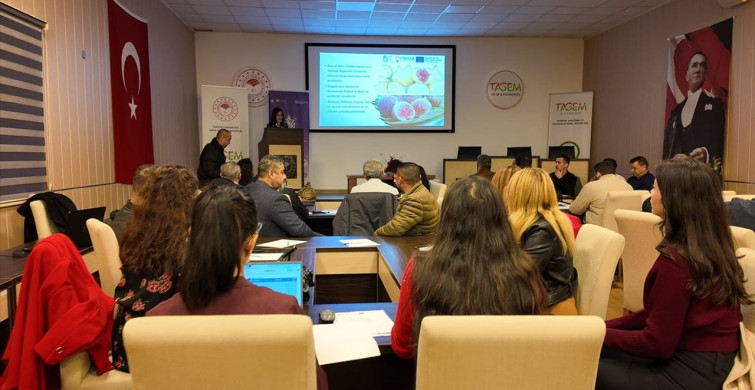 Aydın'da İncir Atıklarının Çevreci Ambalajlara Dönüşümü İçin Yeni Proje