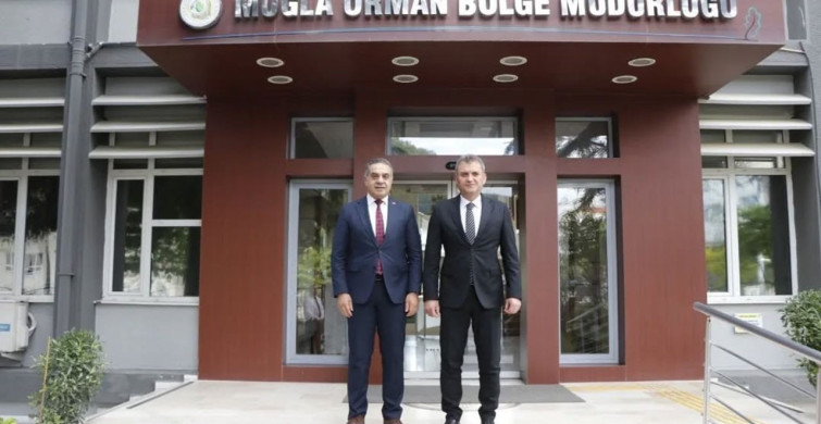 Aydın'da Kestane Ağaçları İçin Biyolojik Mücadele