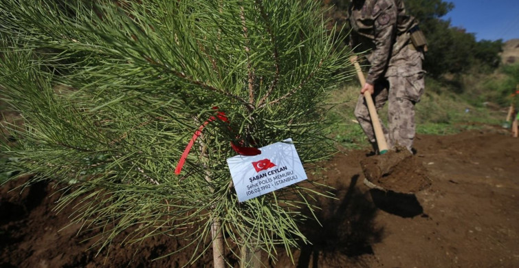 Aydın'da Şehitler İçin Fidan Dikim Etkinliği
