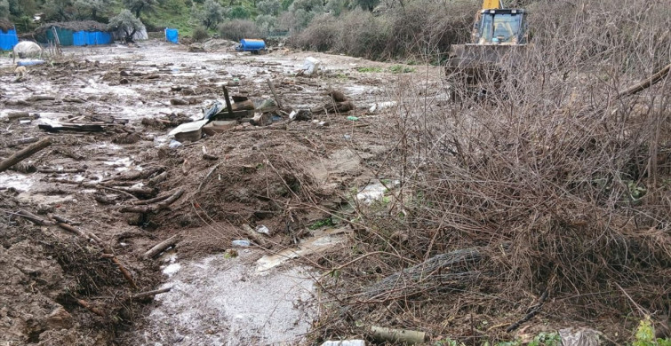 Aydın'da Sel ve Toprak Kayması: 44 Küçükbaş Hayvan Telef Oldu